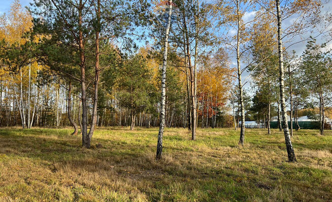 Działka budowlana nr 60/22 Józefów gmina Pniewy