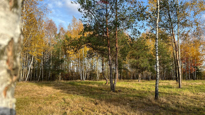 Działka budowlana nr 60/22 Józefów gmina Pniewy