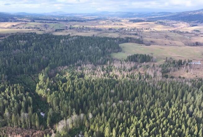 Działka rolna Czarna Lipie