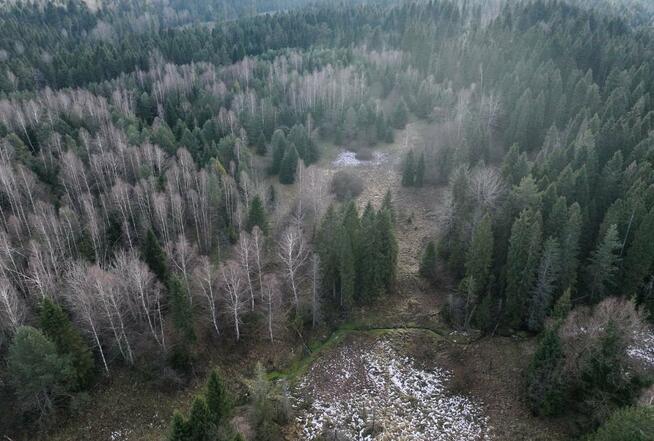 Działka rolna Czarna Lipie