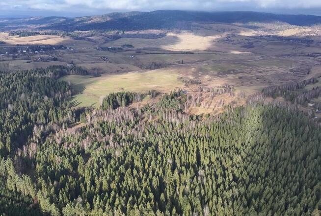 Działka rolna Czarna Lipie