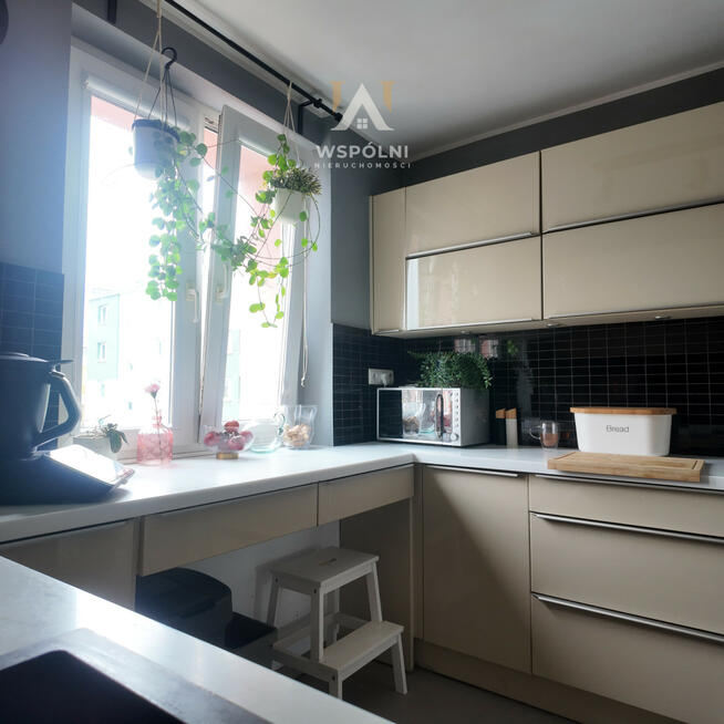 Mieszkanie Tczew, Kasztanowa