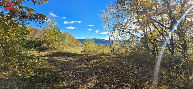 Działka budowlana Dobra