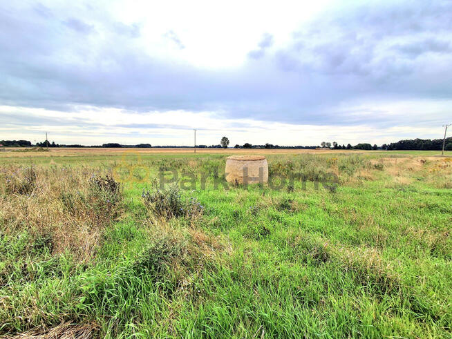 Działka budowlana Droglowice gm. Pęcław,