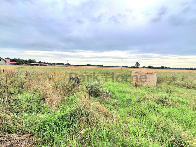 Działka budowlana Droglowice gm. Pęcław,