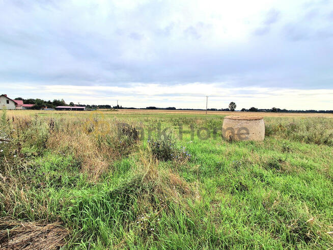 Działka budowlana Droglowice gm. Pęcław,