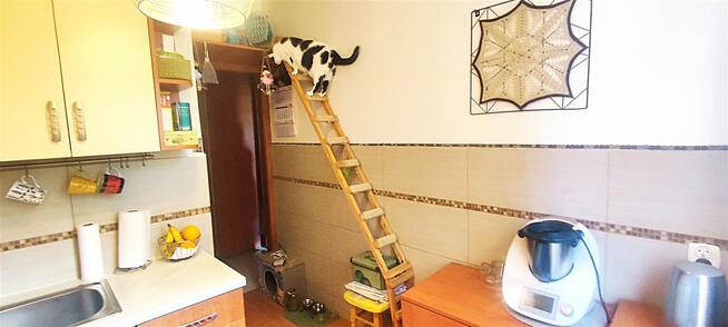 Mieszkanie Tychy Śródmieście