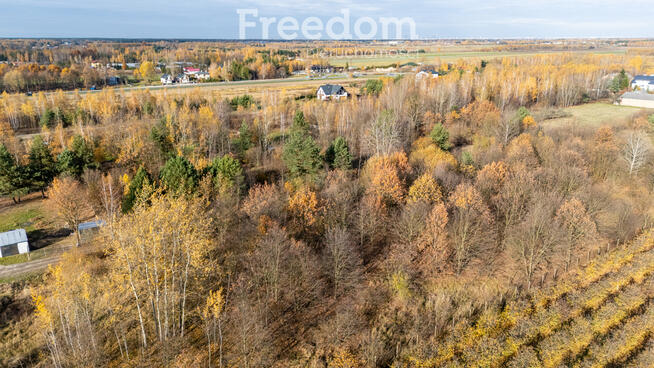 Działka 39 532 m² — idealna pod osiedle