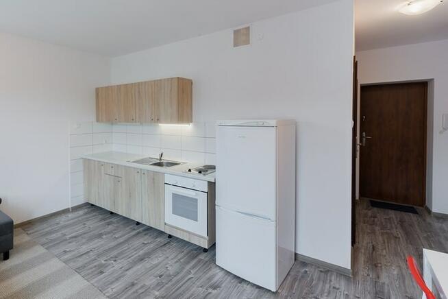 Wynajmę przytulne studio, pet friendly. Pokoju 10