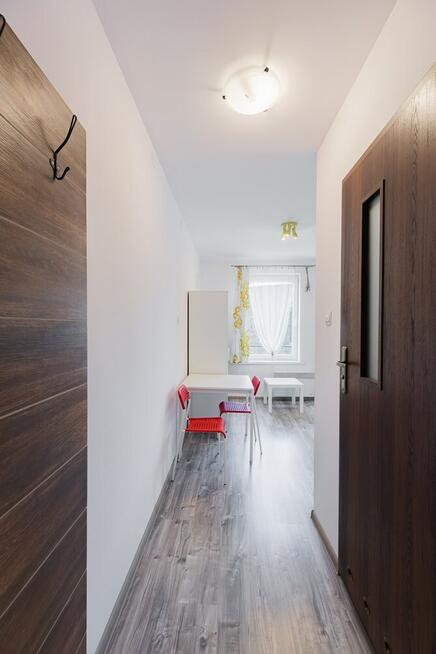 Wynajmę przytulne studio, pet friendly. Pokoju 10
