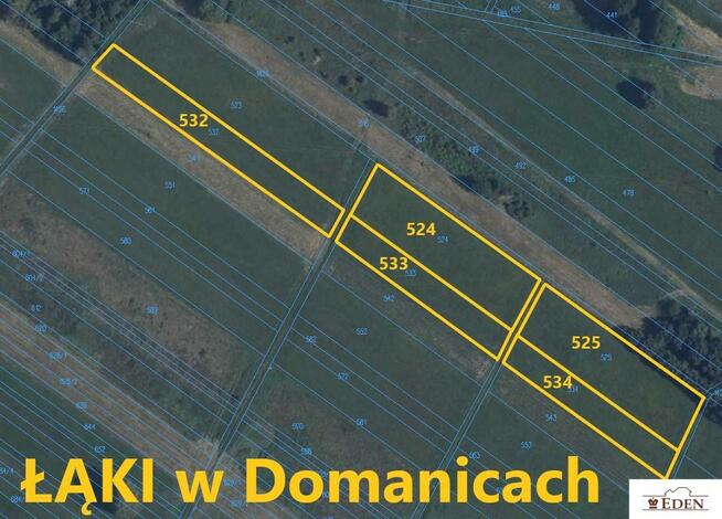 Działka rolno-budowlana Domanice