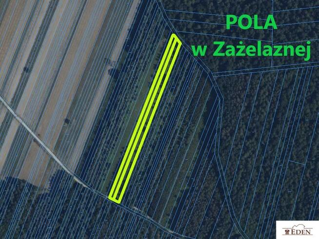 Działka rolno-budowlana Domanice