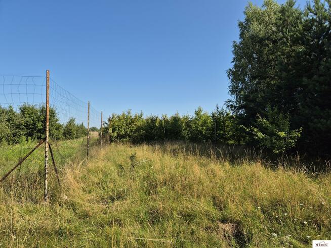 Działka rolna Oleśnica gm. Wodynie