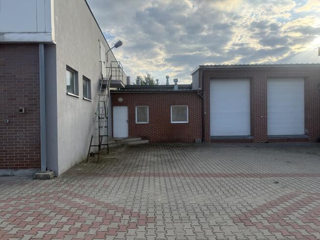 Powierzchnia magazynowa do wynajęcia