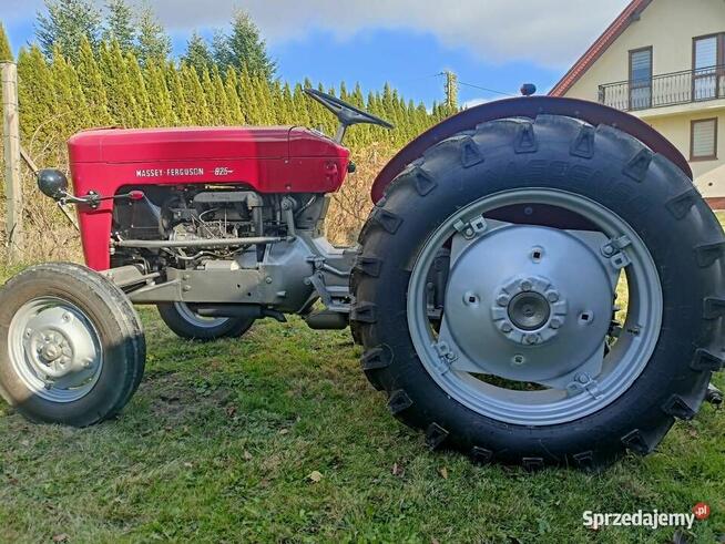Traktor ciągnik Massey Ferguson 825