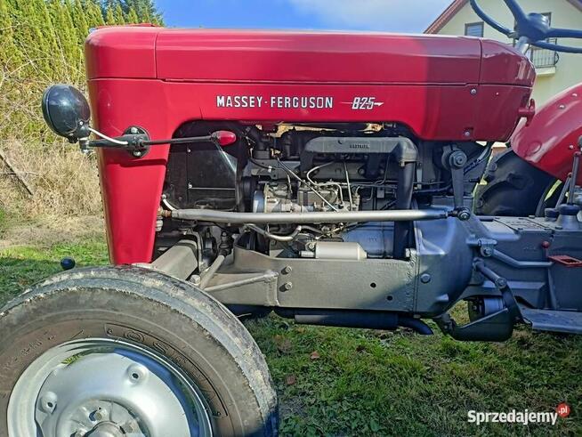 Traktor ciągnik Massey Ferguson 825