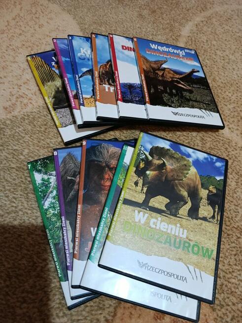 Komplet płyt DVD o Dinozaurach