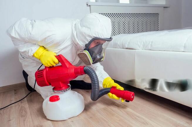 Dezynsekcja, Odpluskwianie, Deratyzacja, Dezynfekcja