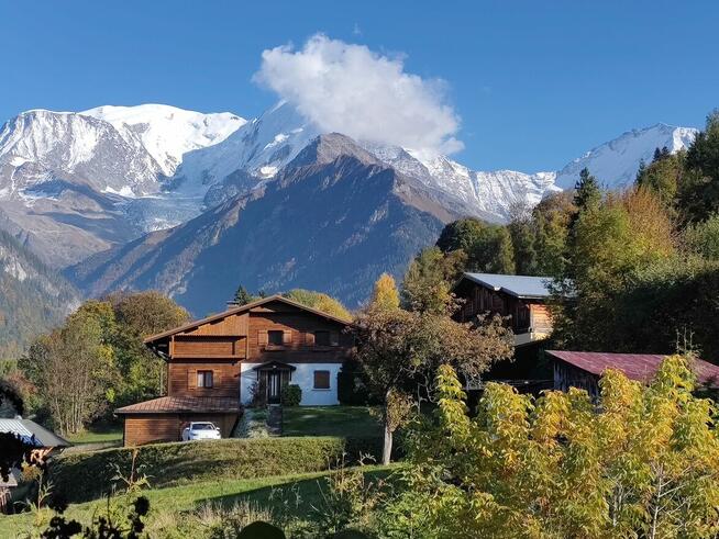 PrzystojnyMężczyzna