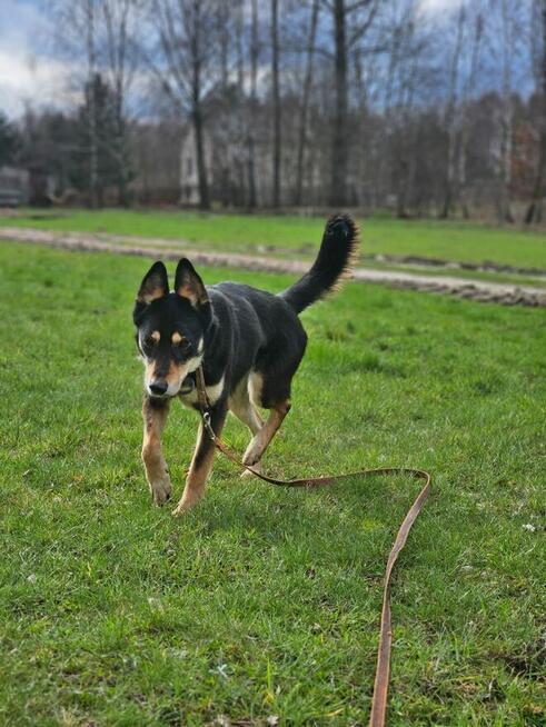 Cicho gra i cicho śni – Nutka pyta: może Ty?
