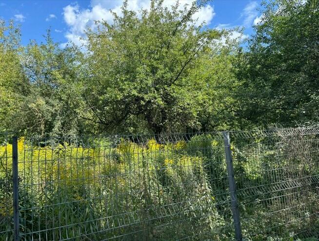 Działka budowlana w mieście z dostępem do mediów