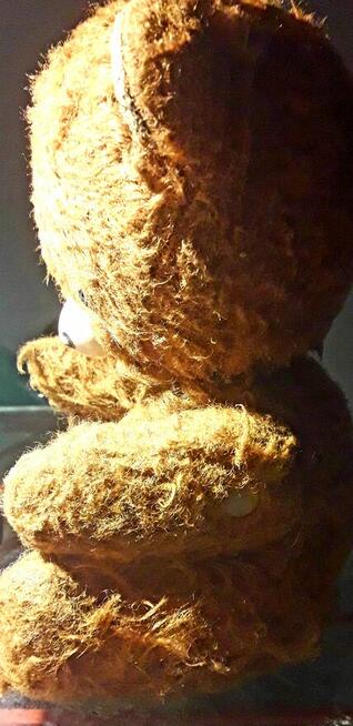 MIŚ TROCINIAK + MALPKA PRL