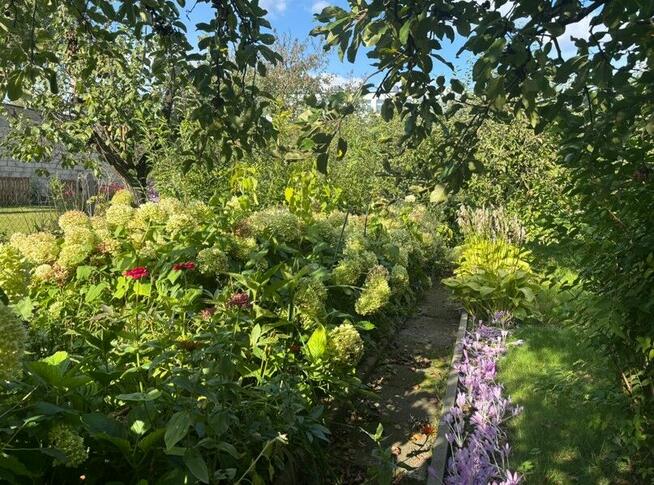 Dom z ogrodem 1 469 m² w centrum Ostrowi Mazowieckiej, ul.