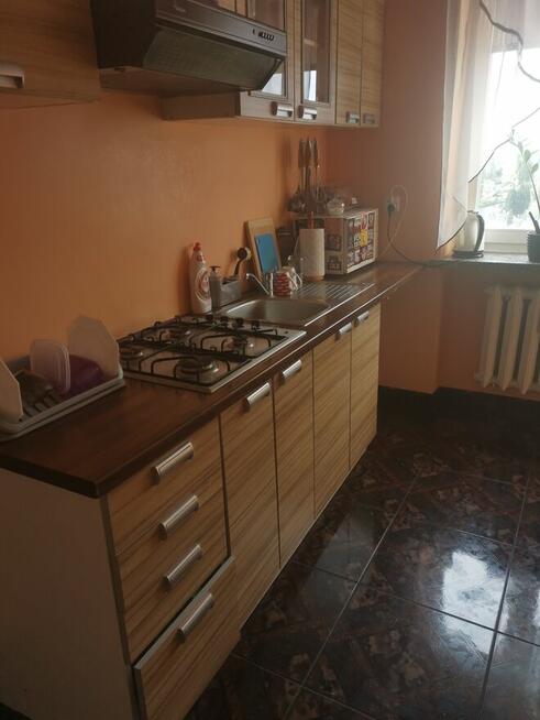 Mieszkanie do wynajęcia