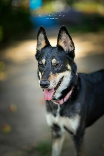 Cicho gra i cicho śni – Nutka pyta: może Ty?