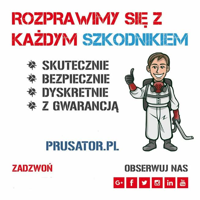 PRUSATOR Skuteczna Dezynsekcja Warszawa Dezynfekcja Pluskwa