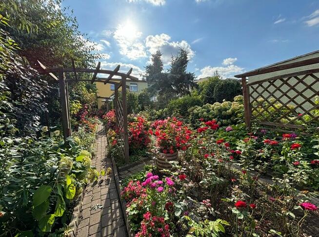 Dom z ogrodem 1 469 m² w centrum Ostrowi Mazowieckiej, ul.