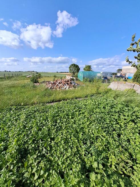 Dom Międzylesie gm. Damasławek