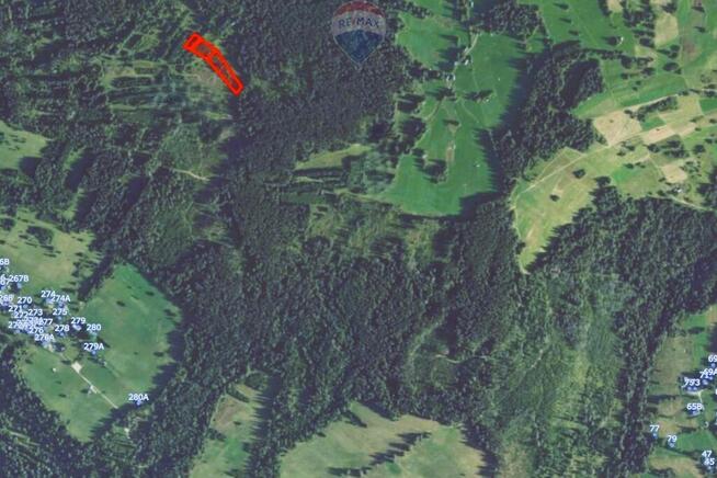 Działki Rolne - Sprzedaż - Dzianisz