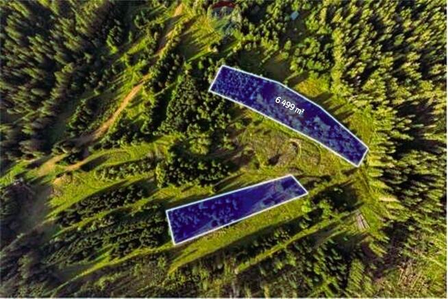 Działki Rolne - Sprzedaż - Dzianisz