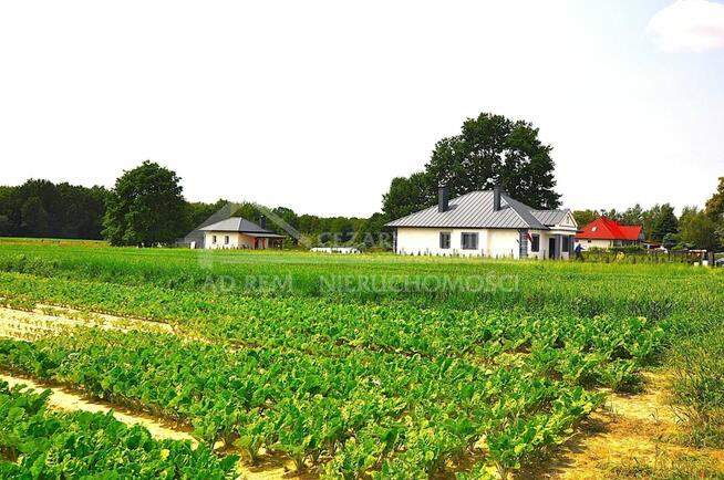 Dom Nałęczów Wąwozy, Nałęczów