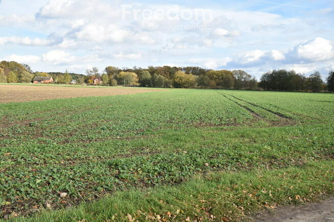 Ziemia rolnicza na sprzedaż.