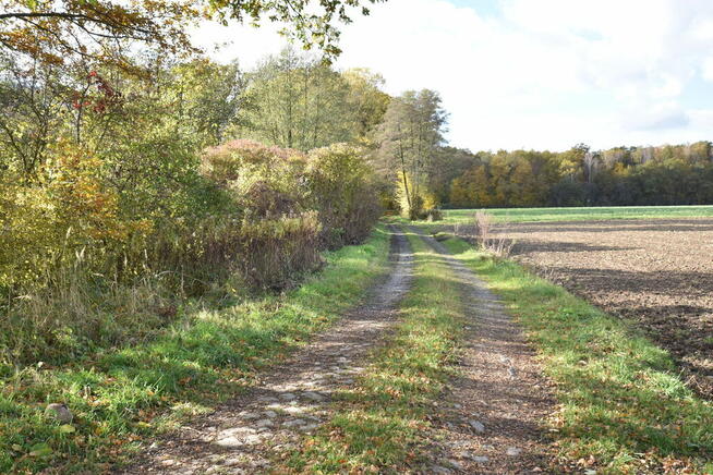 Ziemia rolnicza na sprzedaż.