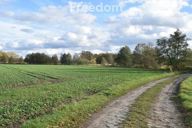 Ziemia rolnicza na sprzedaż.