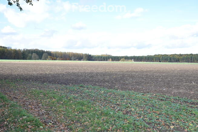 Ziemia rolnicza na sprzedaż.