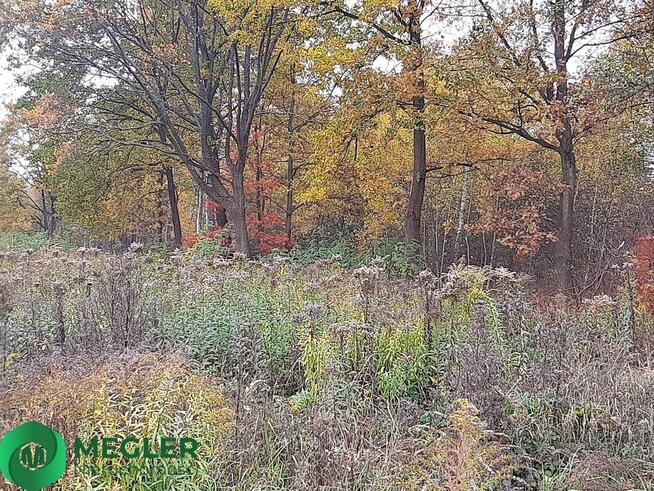 Działka w otulinie lasu