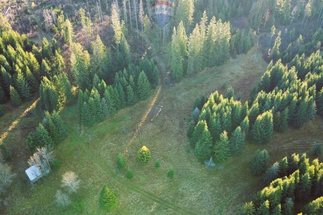 DZIAŁKI ROLNE - SPRZEDAŻ DZIANISZ-DZIEDZICÓWKA