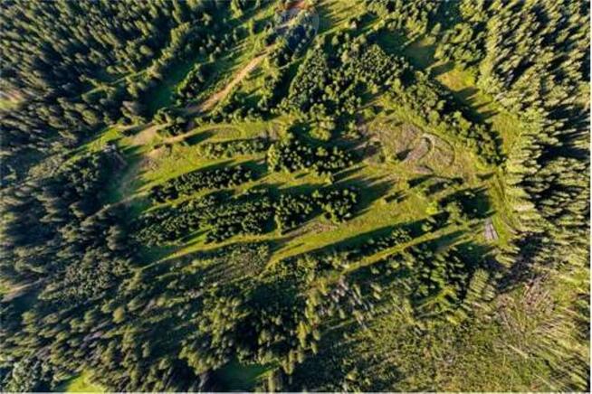 DZIAŁKI ROLNE - SPRZEDAŻ DZIANISZ-DZIEDZICÓWKA