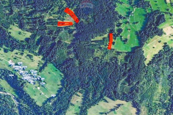 DZIAŁKI ROLNE - SPRZEDAŻ DZIANISZ-DZIEDZICÓWKA