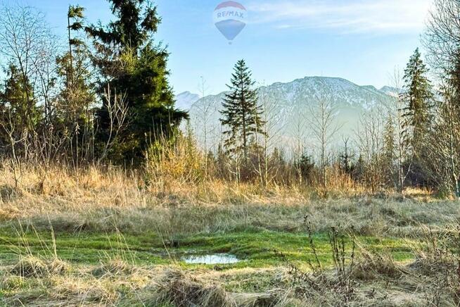 DZIAŁKI ROLNE - SPRZEDAŻ DZIANISZ (SKŁADZISKA)