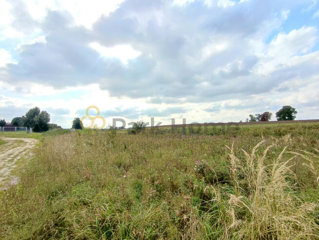 Działka budowlana Nowieczek gm. Dolsk,