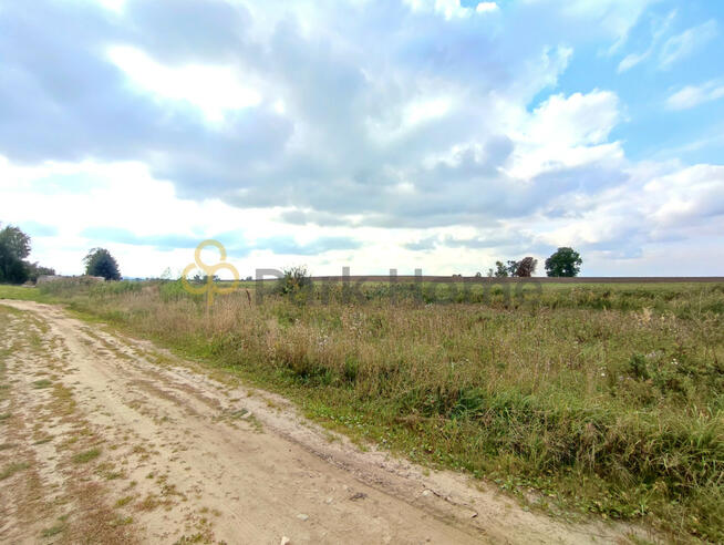 Działka budowlana Nowieczek gm. Dolsk,