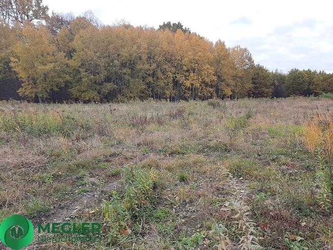 Działka Rusiec- dobra cena