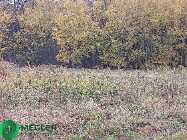 Działka Rusiec- dobra cena