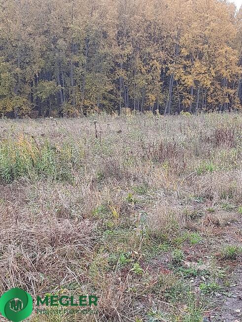 Działka Rusiec- dobra cena