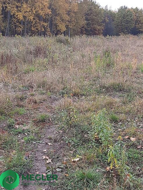 Działka Rusiec- dobra cena